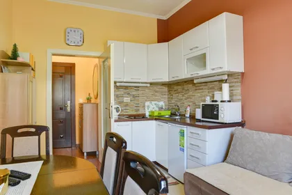 Apartmani Bačikin i Bačikin LUX - Vrnjačka Banja