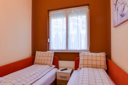 Apartmani Bačikin i Bačikin LUX - Vrnjačka Banja