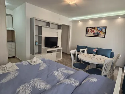 Apartman studio CENTAR - Vrnjačka Banja