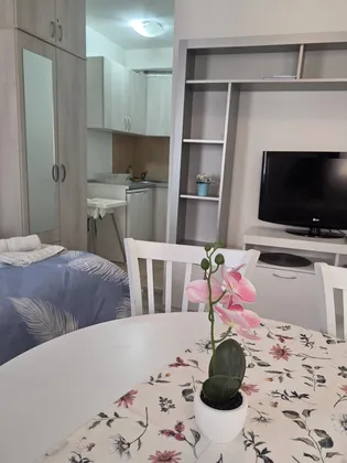 Apartman studio CENTAR - Vrnjačka Banja