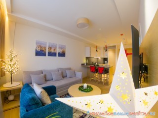 Apartman Z Harmony 408 - Vrnjačka Banja