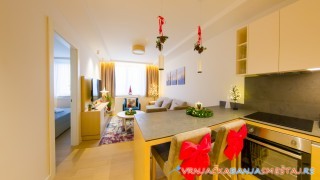 Apartman Z Harmony 408 - Vrnjačka Banja