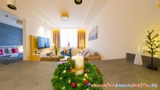 Apartman Z Harmony 408 - Vrnjačka Banja