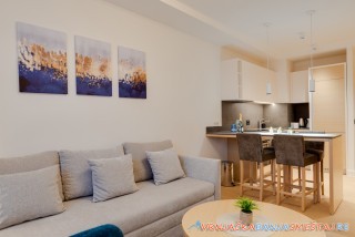 Apartman Z Harmony 408 - Vrnjačka Banja