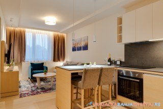 Apartman Z Harmony 408 - Vrnjačka Banja