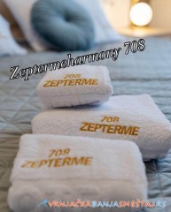 Apartman Z Harmony 708 - Vrnjačka Banja