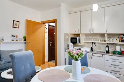 Bubili apartmani - Vrnjačka Banja