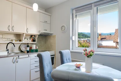 Bubili apartmani - Vrnjačka Banja