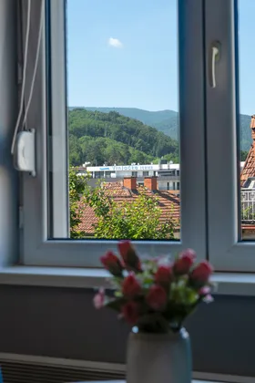 Bubili apartmani - Vrnjačka Banja