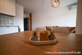 S apartman - Vrnjačka Banja