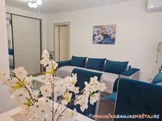 Živanović apartman - Vrnjačka Banja