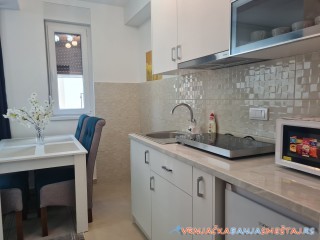 Živanović apartman - Vrnjačka Banja